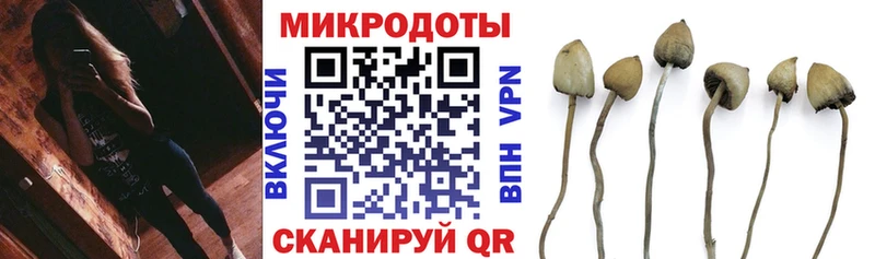Псилоцибиновые грибы мицелий  Купить где  Артёмовск 